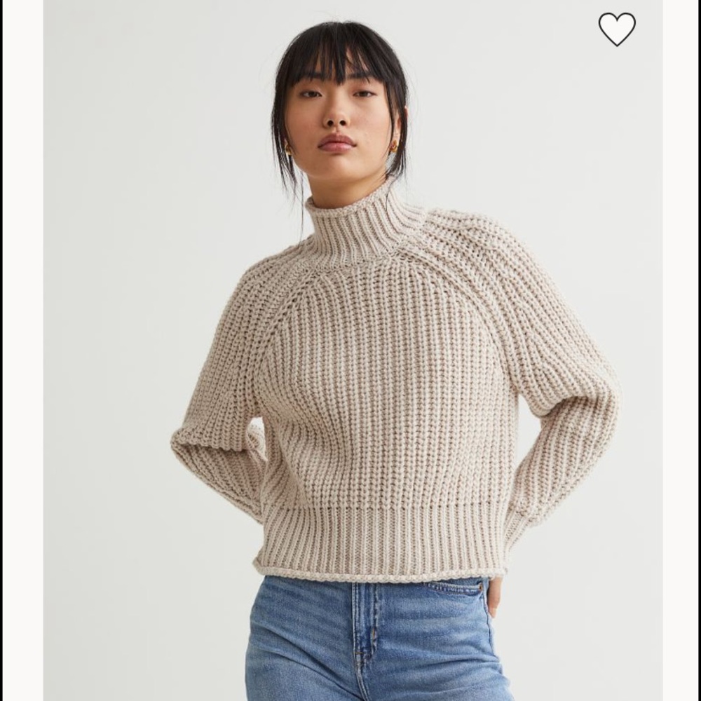 H&M Knit Chunky Sweater